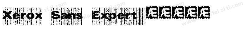 Xerox Sans Expert字体转换
